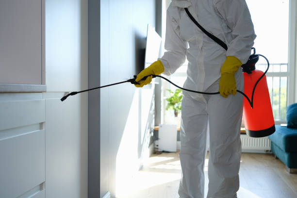 Best Residential Mold Remediation in Mountain Lake Park, MD